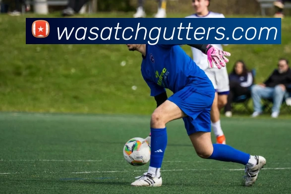 企业概况